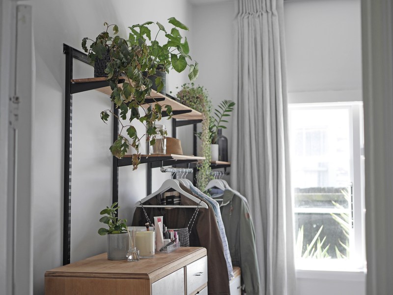 place the plant on the hanging shelf.