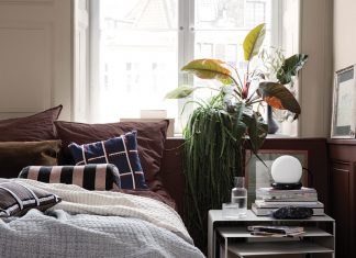 Use Plant to Beautify The Bedroom