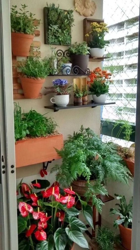 beautiful small garden for balcony