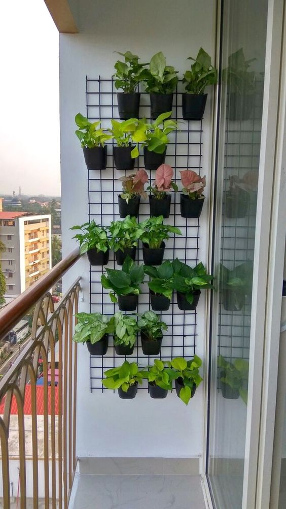 beautiful vertical garden for balcony