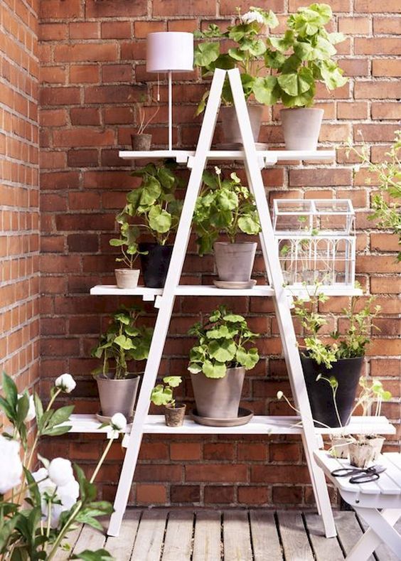 vertical garden diy concept