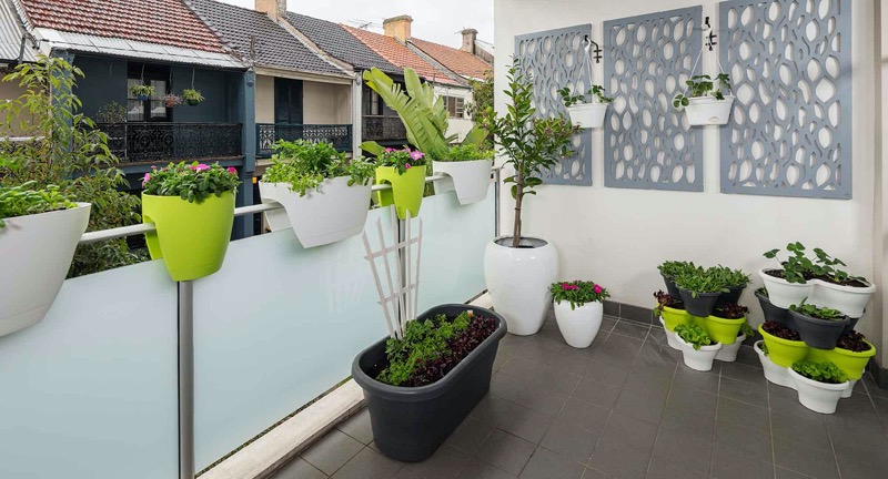 vertical-garden-ideas-for-balcony.jpg