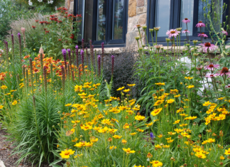 How to Design a Small Perennial Garden Plan, Low Budget Cost