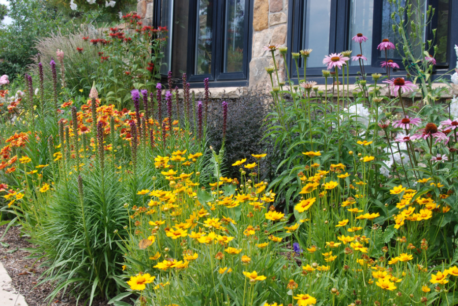 How to Design a Small Perennial Garden Plan, Low Budget Cost | HomesFornh