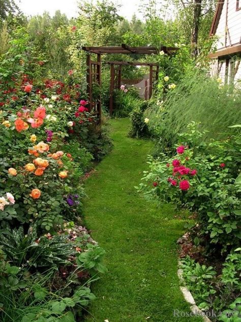 cool natural backyard garden
