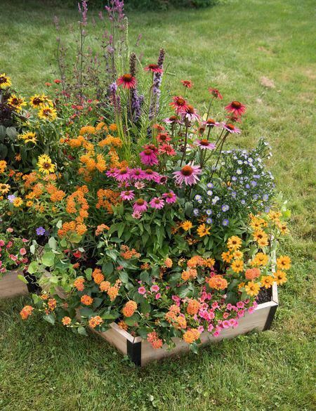 flower garden bed