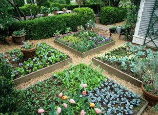 7 Garden Bed Decoration Ideas That Will Stun You! garden bed decoration