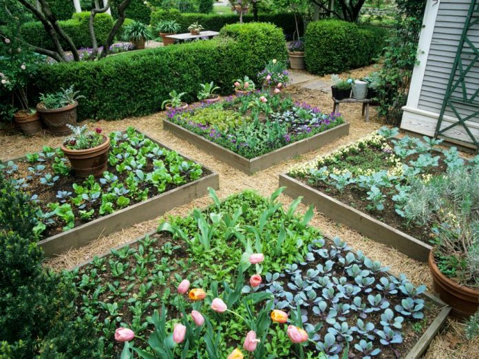 garden bed decoration