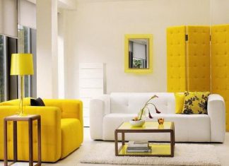 Basic But Beautiful Colors For Your Living Room