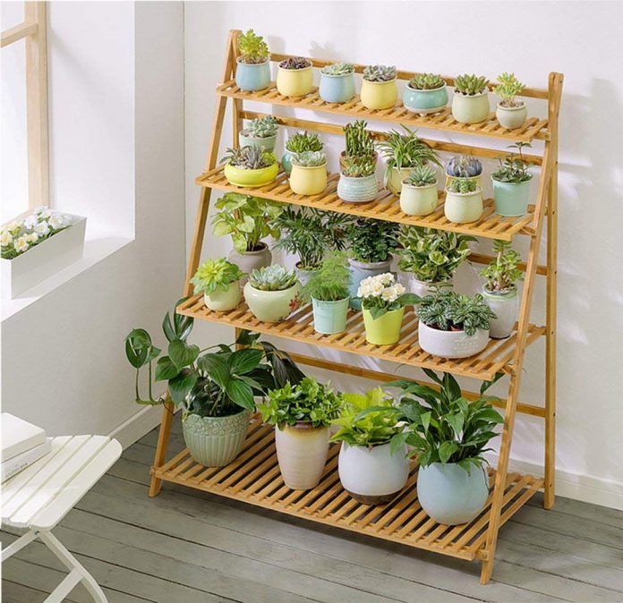 Ornamental Plant Rack Design Ideas to Make Your Home Interior Fresh and