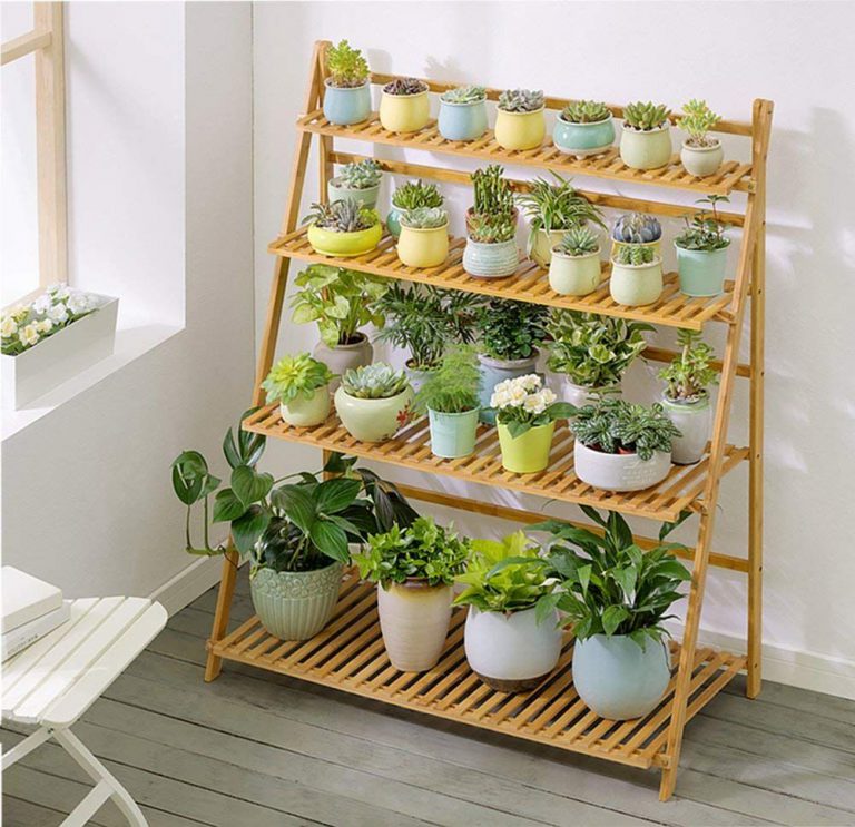 Ornamental Plant Rack Design Ideas to Make Your Home Interior Fresh and