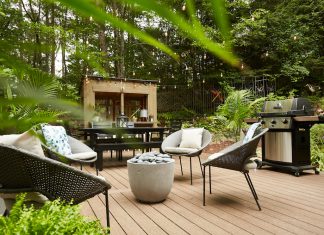 Creative Ways to Optimize the Function of Your Backyard Garden