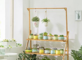 Ornamental Plant Rack Design Ideas to Make Your Home Interior Fresh and Beautiful