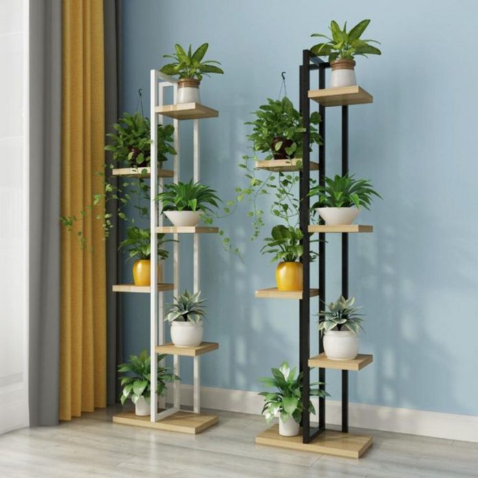 Ornamental Plant Rack Design Ideas to Make Your Home Interior Fresh and