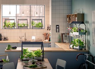Mini Garden Ideas For Your Kitchen Interior To Be Fresher