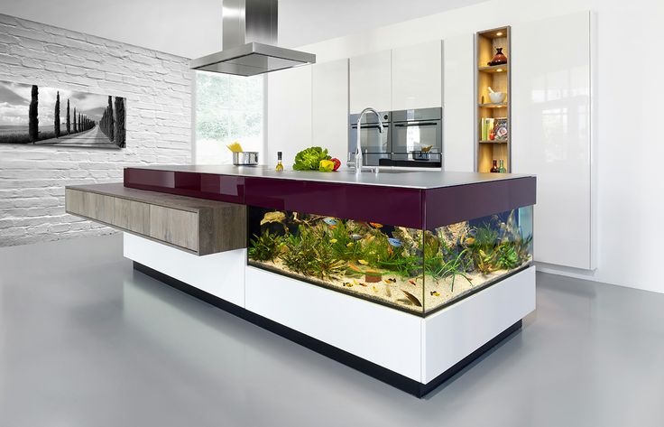 Aquarium in Kitchen Table