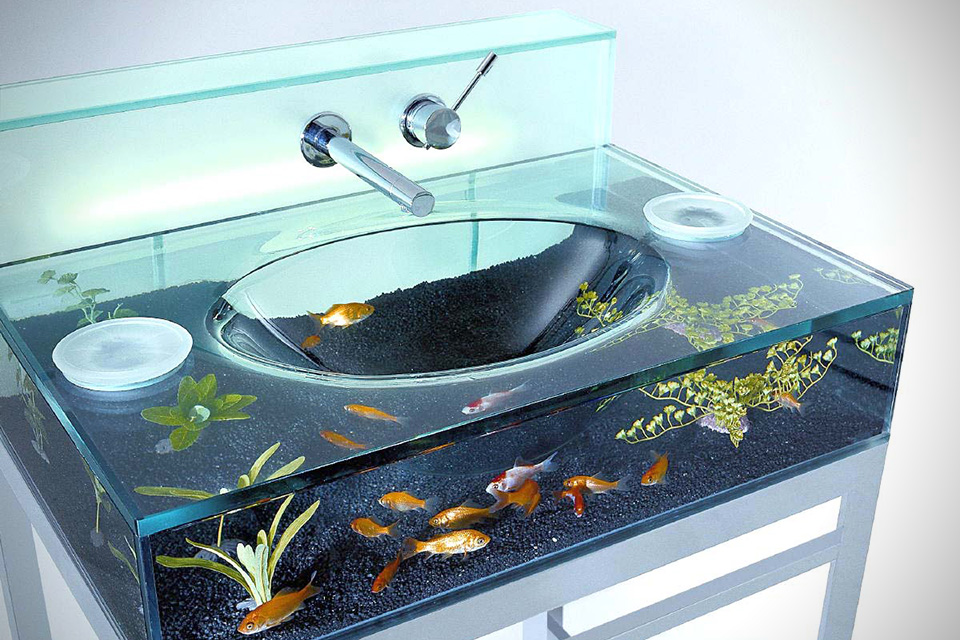 Aquarium in Sink