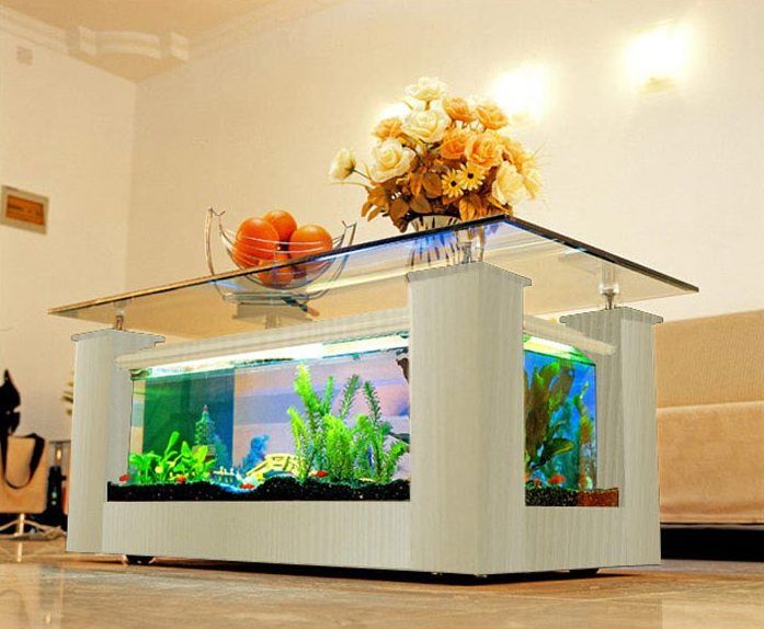 Aquarium in a Coffee Table