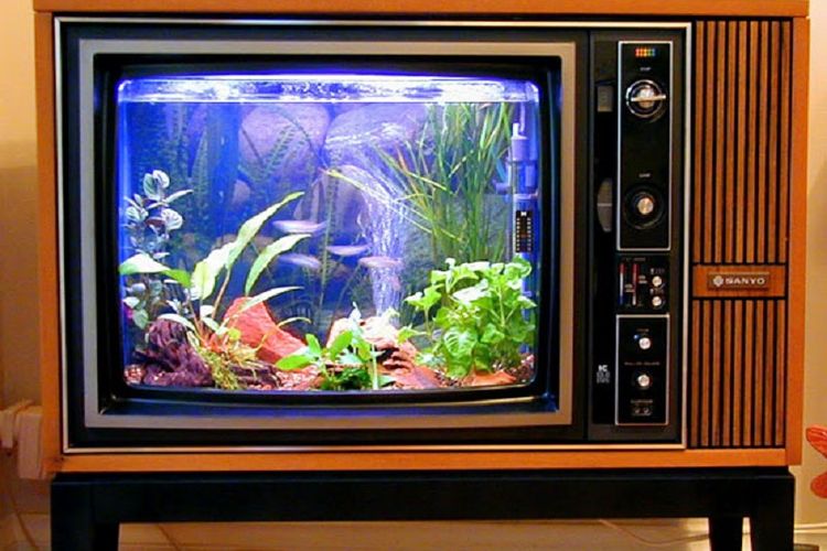 Classic TV Aquarium