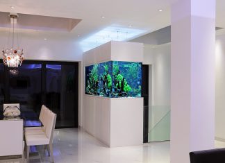 Aquarium Design Ideas to Beautify the Interior of Your Home