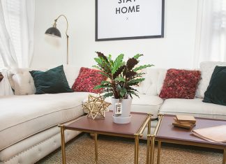 Types of Calathea Plants to Beautify Your Home Interior