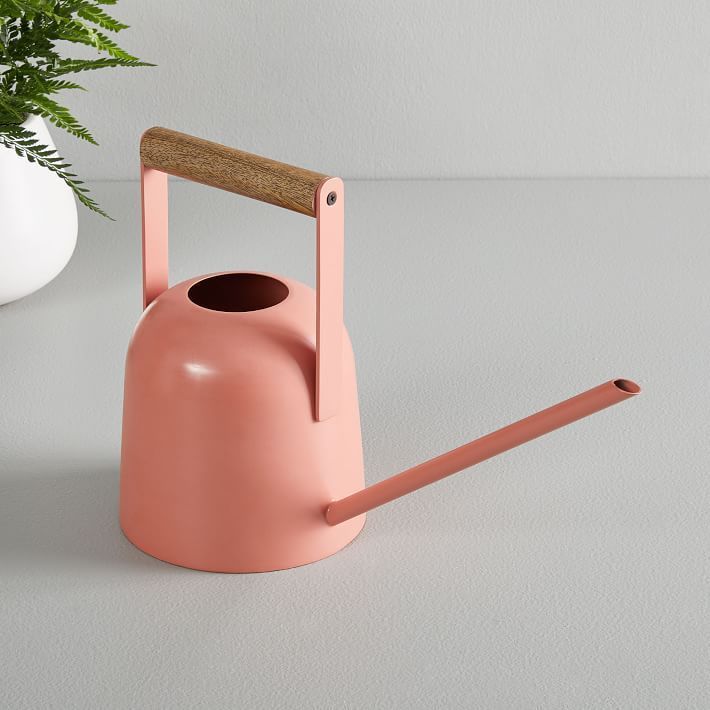 Watering Can