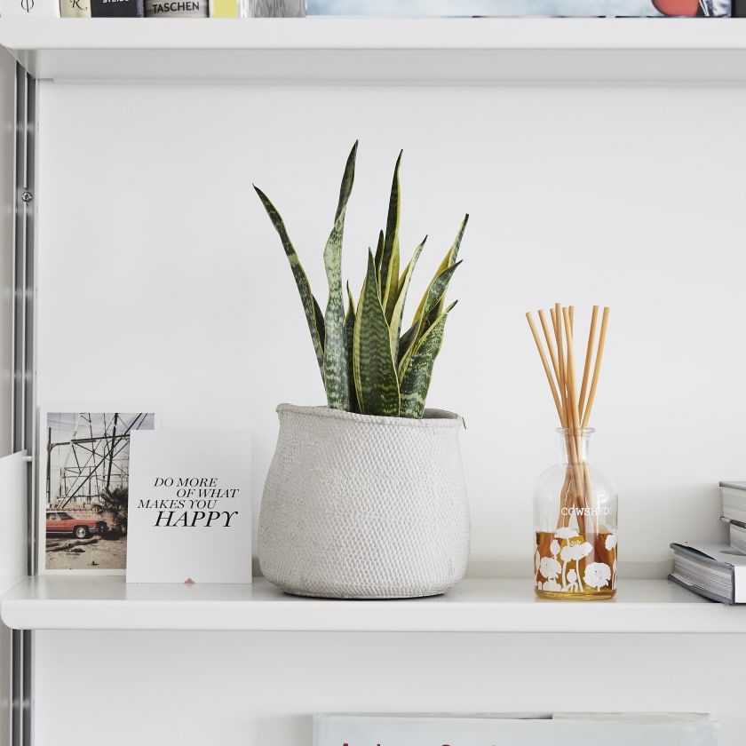 Decorate Your Bookshelf to Invigorate The Bedroom