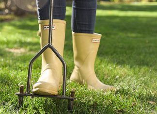 How to Aerate Your Lawn