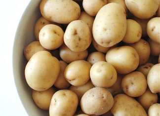 Potatoes Garden Concept : Various Types and Tips for Growing Them