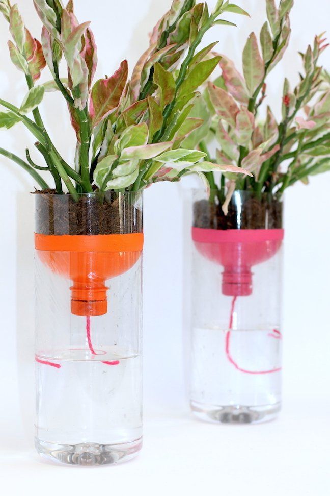 Bottles and Shelf Watering