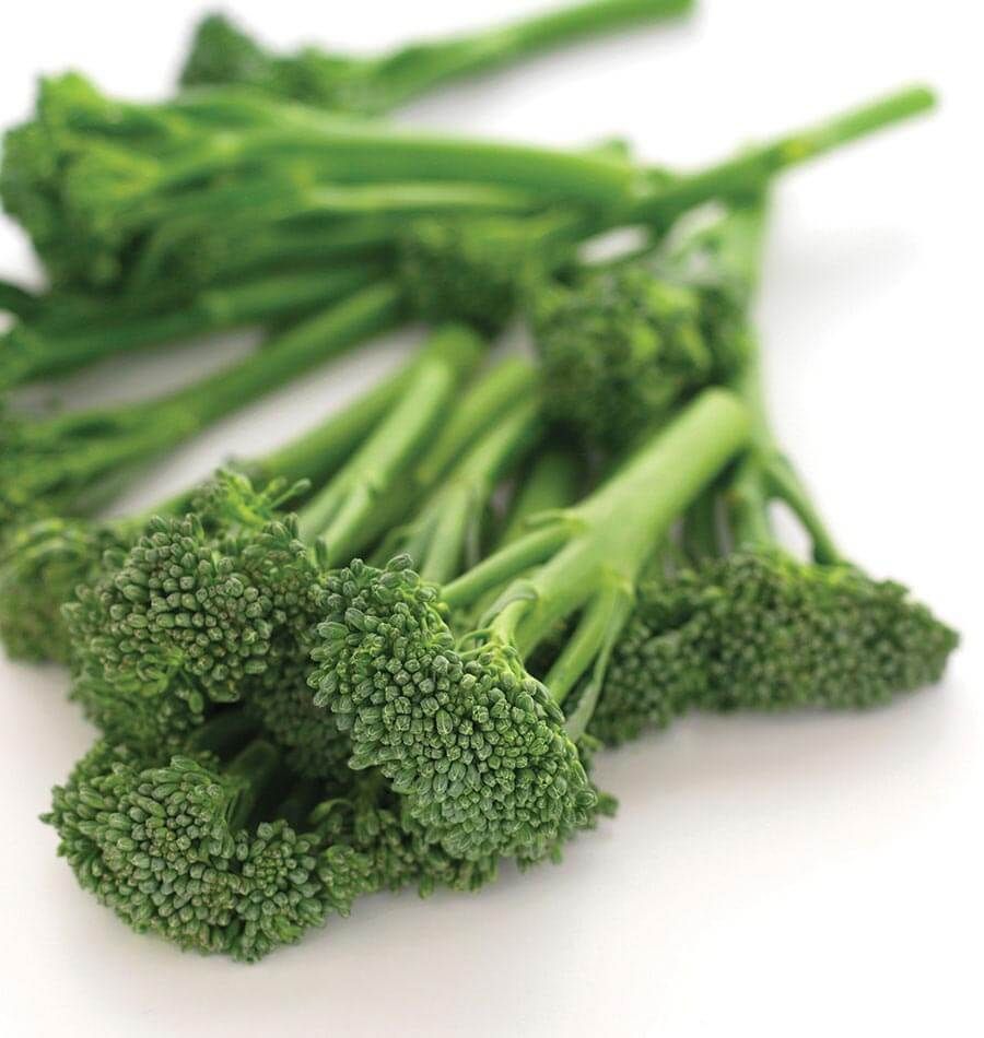 Broccoli