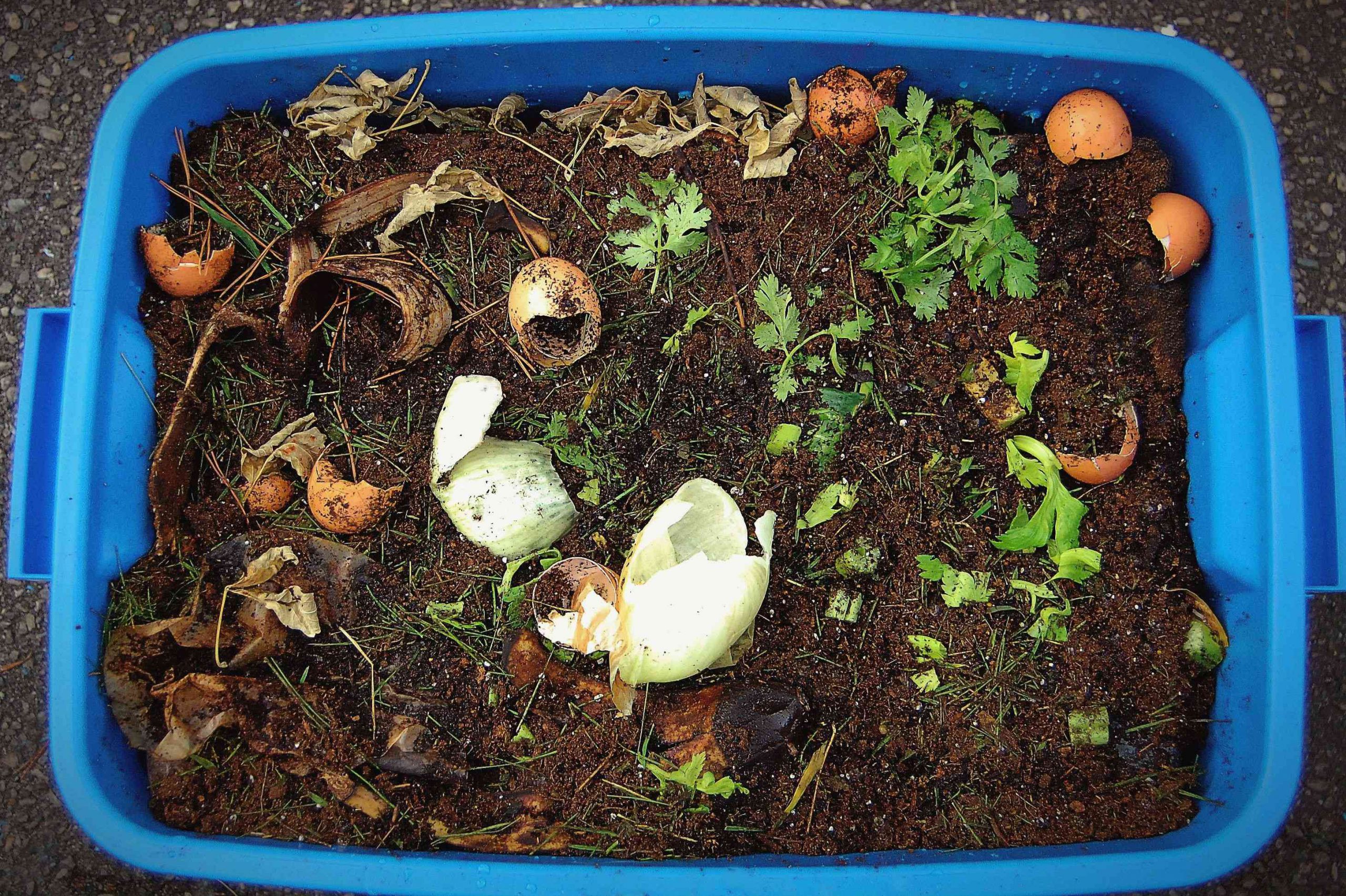 Add More Compost for Soil