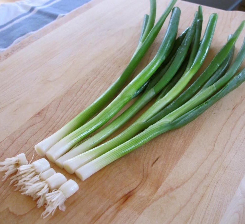 Spring Onion