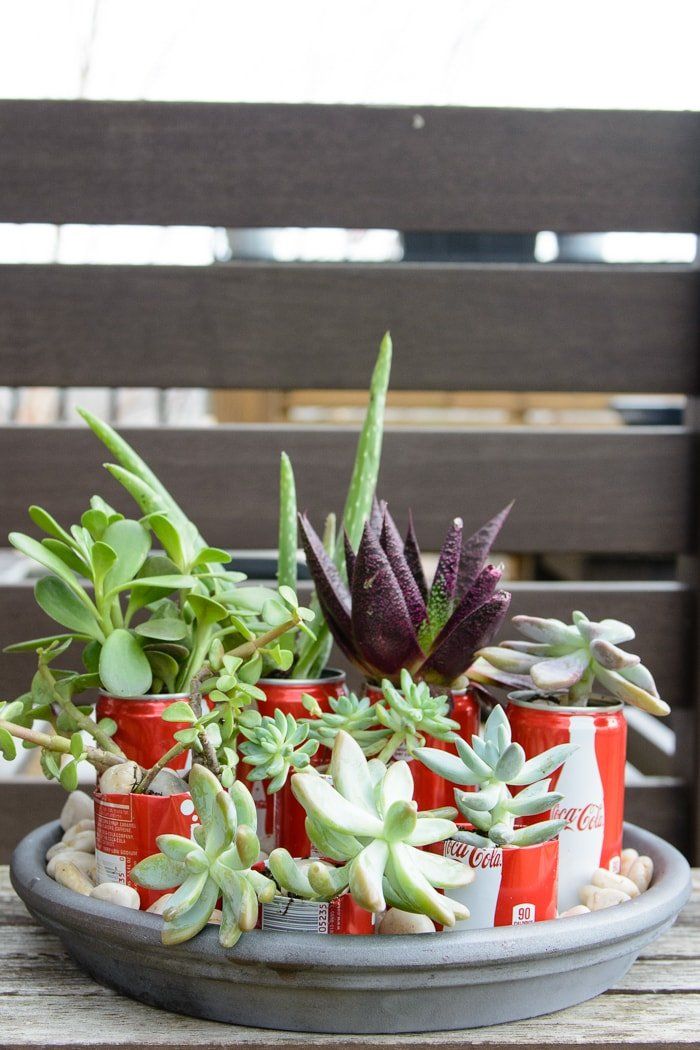 Aesthetic Coke Cans Planter