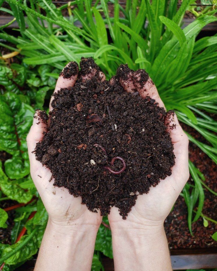 Give Some Worm Castings to Create a Natural Biosphere