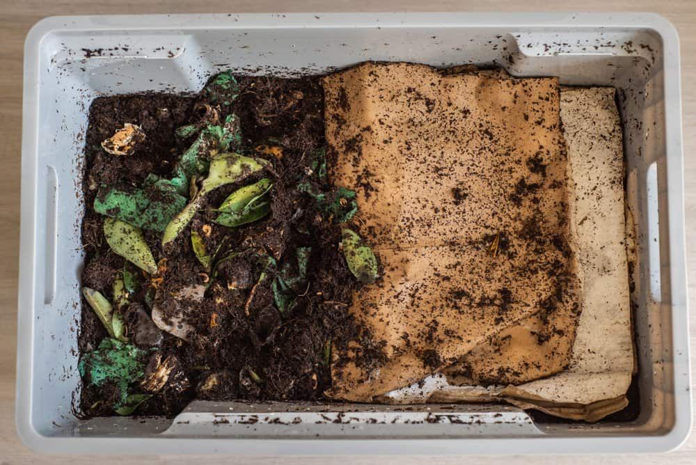 Arrange the compost layers in a container