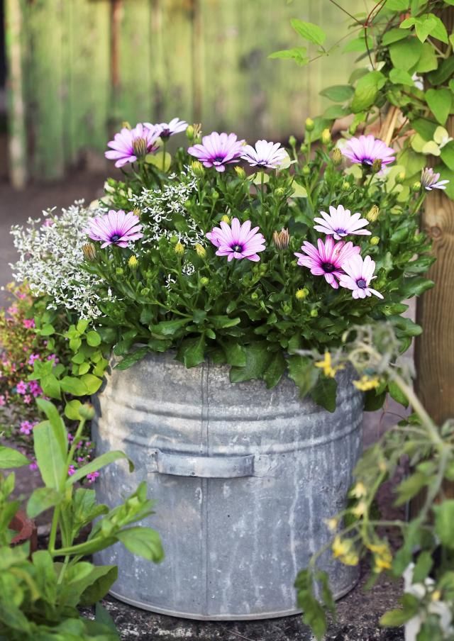 Farmhouse Planter from a Metal Bucket