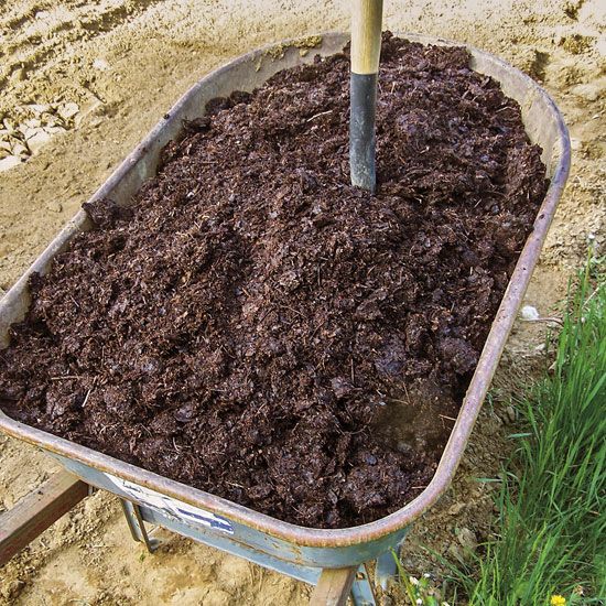 Make the soil mixture