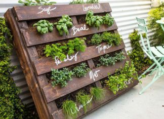 Brilliant Ideas for Pallet Planter to Use in Your Home Garden