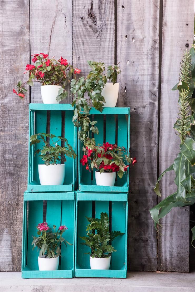 Decorate Your Flowers in Showy Pallet Planters