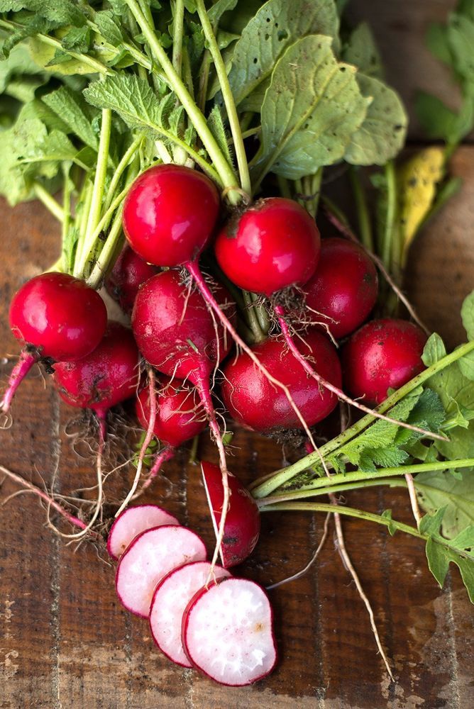 Radish