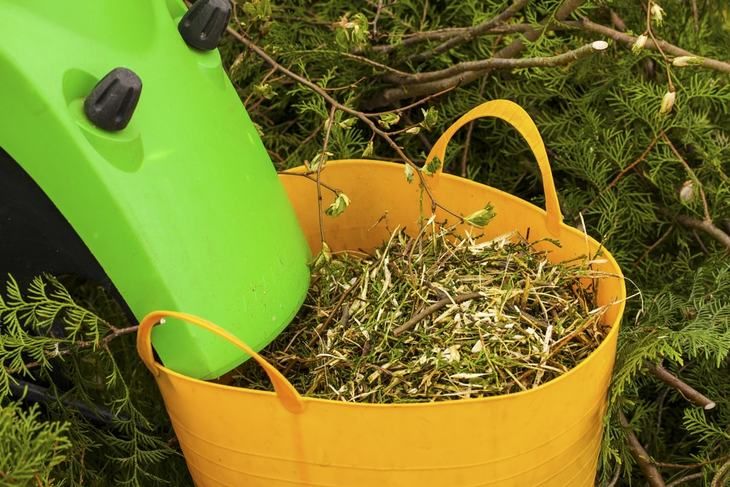 Pruning Leaf and Leaf Shredder