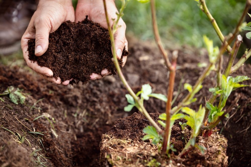 Fertilizing