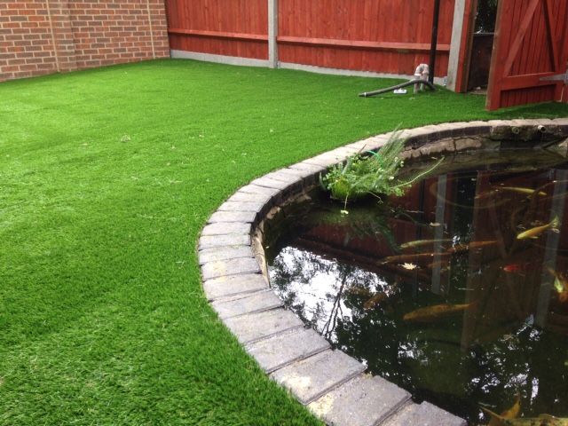 Fish Pond with Grass