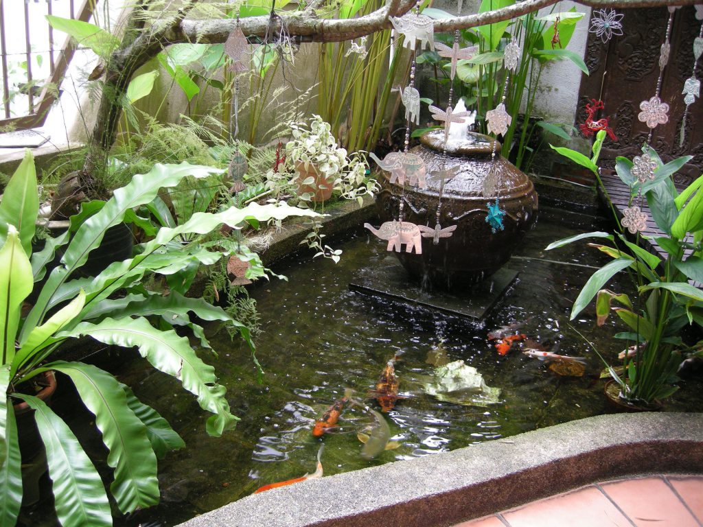 Backyard Fish Pond Ideas : Create a Beautiful and Fresh Atmosphere