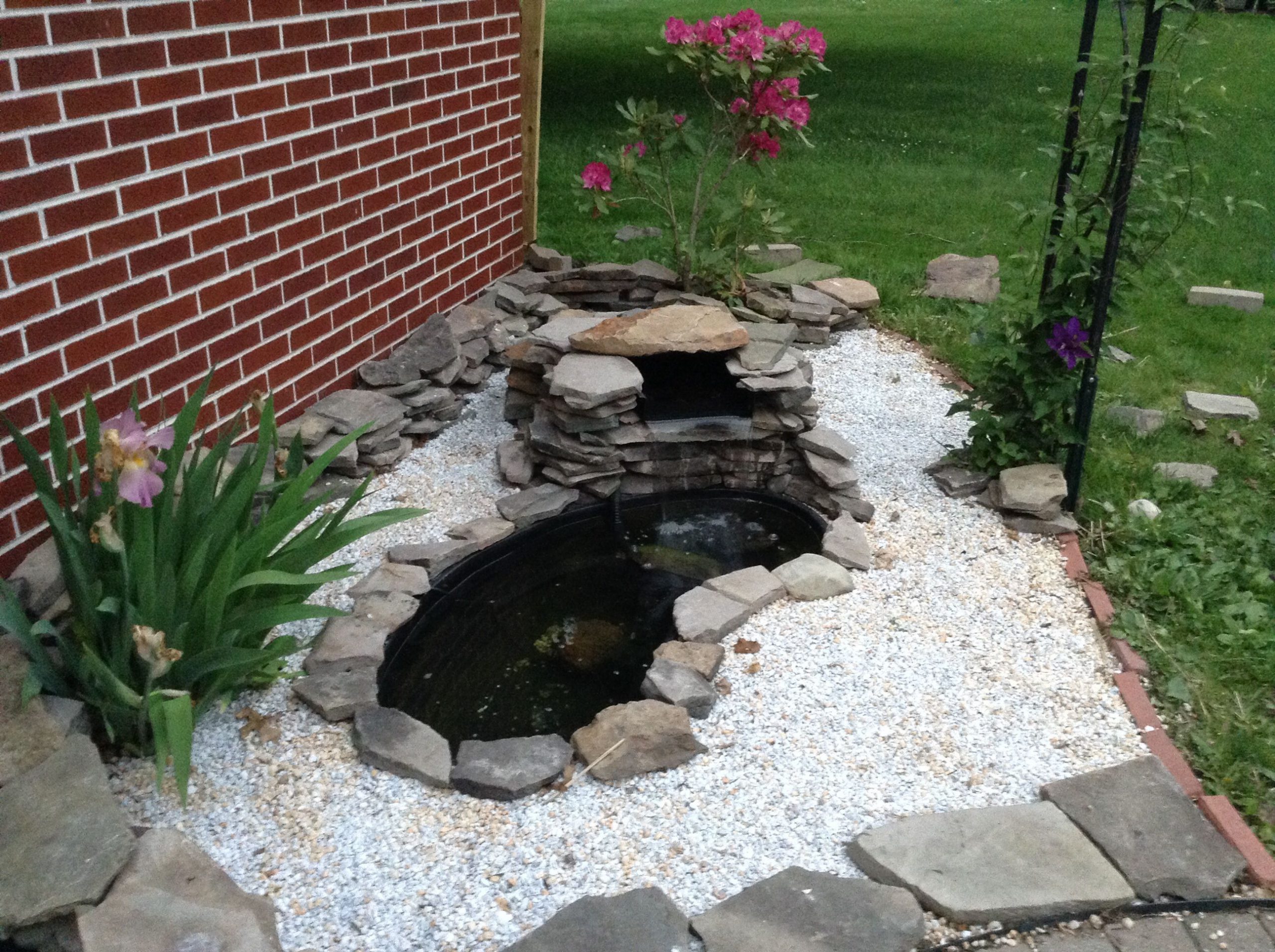 Simple and Small Fish Pond