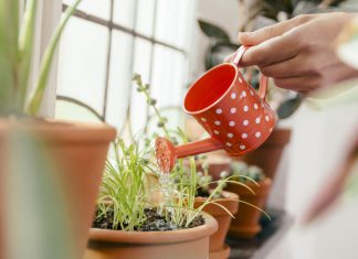 8 Watering Mistakes That You Probably Do in Your Garden