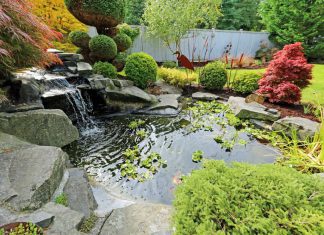 Backyard Fish Pond Ideas : Create a Beautiful and Fresh Atmosphere