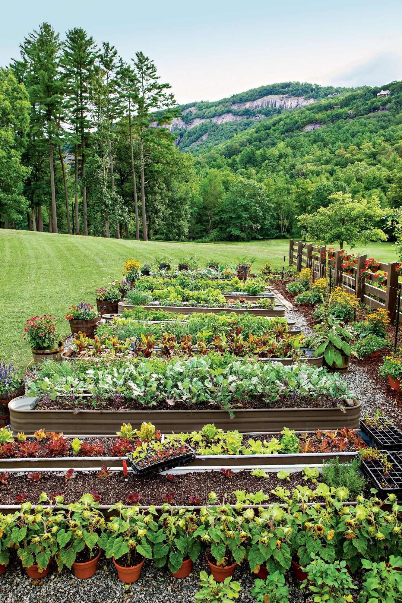 Draw Your Garden Layout on a Canvas