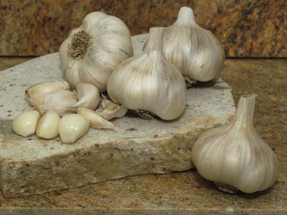 Artichoke Garlic